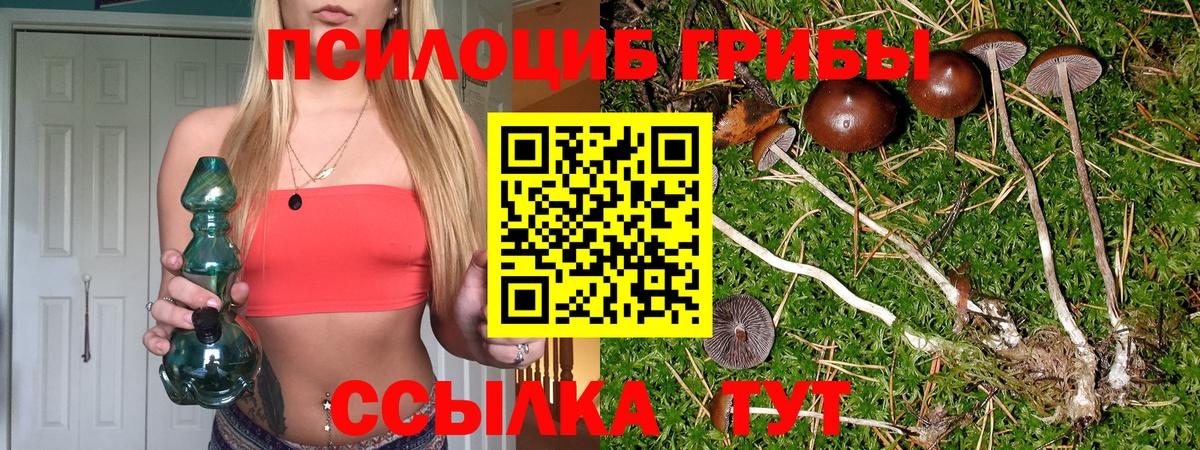 Галлюциногенные грибы прущие грибы Соль-Илецк